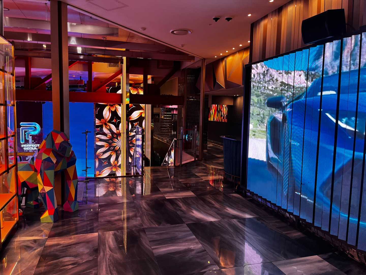 강남 퍼펙트 하이퍼블릭 6